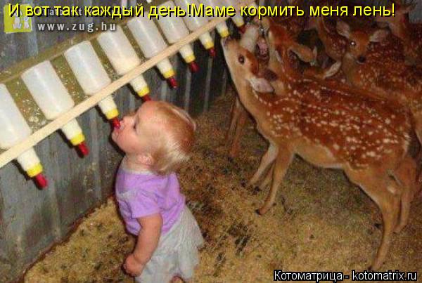 И вот так каждый день!Маме кормить меня лень!... Котоматрица: И вот так каждый день!Маме кормить меня лень!