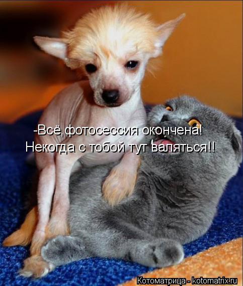 -Всё,фотосессия окончена! Некогда с тобой тут валяться!!... Котоматрица: -Всё,фотосессия окончена! Некогда с тобой тут валяться!!