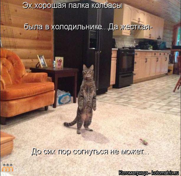 Эх,хорошая палка колбасы была в холодильнике...Да жёсткая- До сих пор согнуться не может...... Котоматрица: Эх,хорошая палка колбасы была в холодильнике...Да жёсткая- До сих пор согнуться не может...