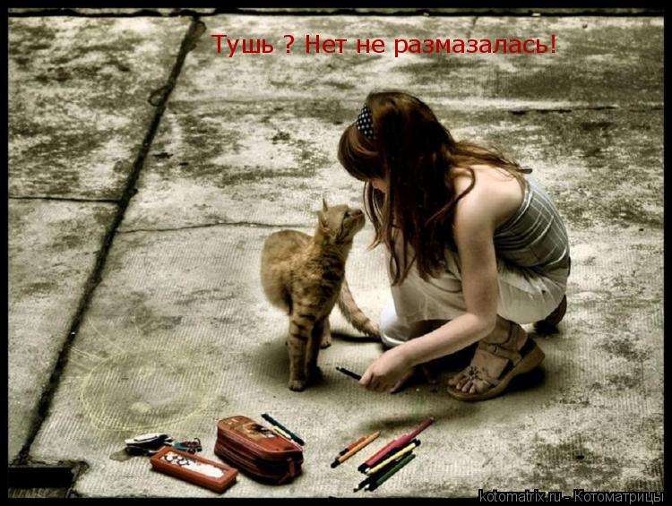 Тушь ? Нет не размазалась!... Котоматрица: Тушь ? Нет не размазалась!