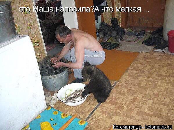 это Маша наловила?А что мелкая....... Котоматрица: это Маша наловила?А что мелкая....
