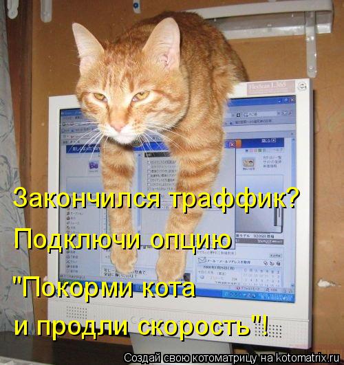 Закончился траффик? Подключи опцию "Покорми кота и продли скорость"!... Котоматрица: Закончился траффик? Подключи опцию "Покорми кота и продли скорость"!