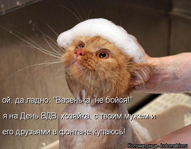 я на День ВДВ, хозяйка, с твоим мужем и его друзьями в фонтане купаюсь! ой, да ладно: "Васенька, не ... Котоматрица: я на День ВДВ, хозяйка, с твоим мужем и его друзьями в фонтане купаюсь! ой, да ладно: "Васенька, не бойся!"
