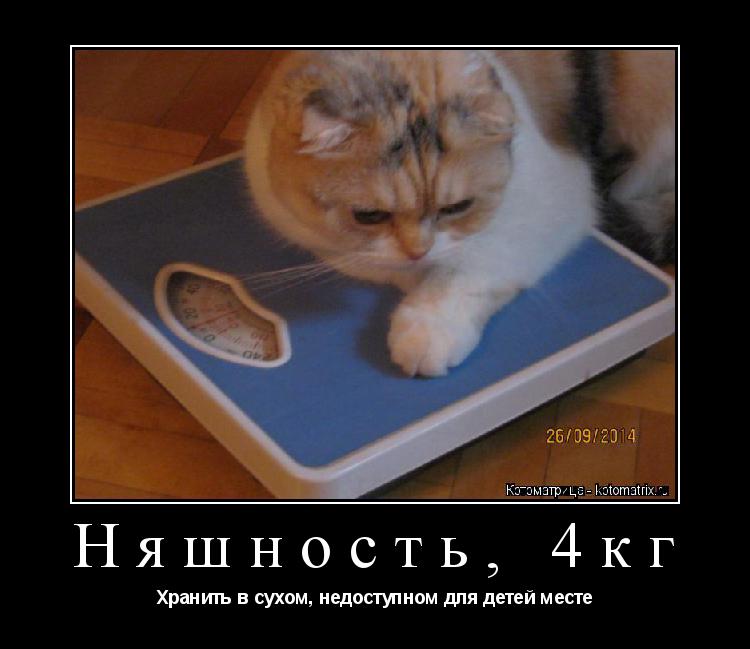 Няшность, 4кг Хранить в сухом, недоступном для детей месте... Котоматрица: Няшность, 4кг Хранить в сухом, недоступном для детей месте