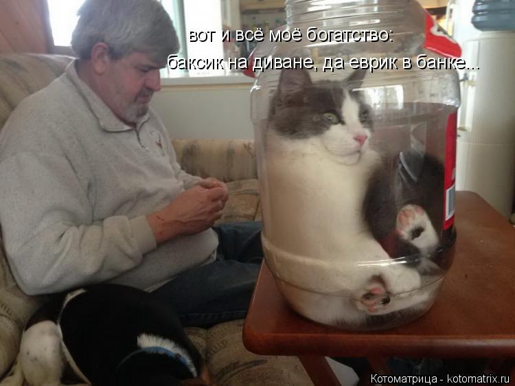 Котоматрица: вот и всё моё богатство: баксик на диване, да еврик в банке...
