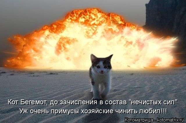 Котоматрица: Кот Бегемот, до зачисления в состав "нечистых сил" Уж очень примусы хозяйские чинить любил!!!