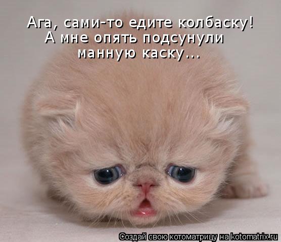 Ага, сами-то едите колбаску! А мне опять подсунули манную каску...... Котоматрица: Ага, сами-то едите колбаску! А мне опять подсунули манную каску...