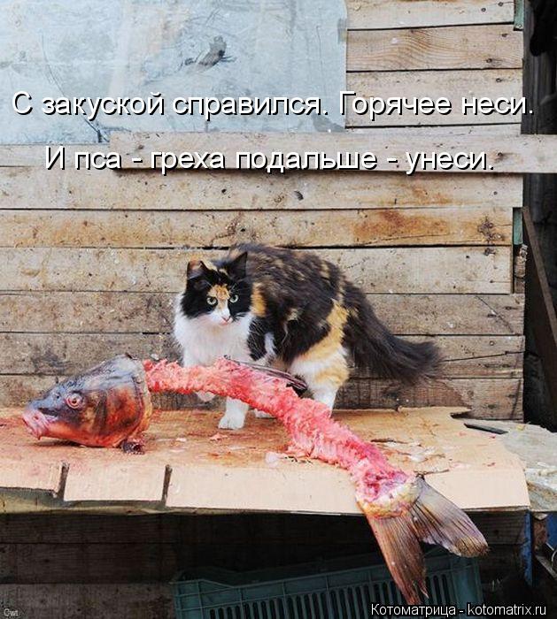 И пса - греха подальше - унеси. С закуской справился. Горячее неси.... Котоматрица: И пса - греха подальше - унеси. С закуской справился. Горячее неси.