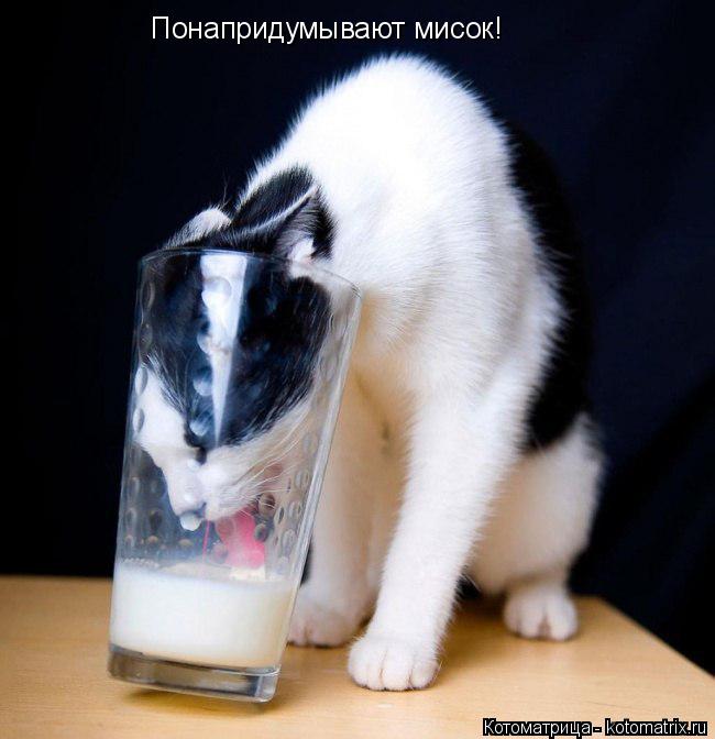 Понапридумывают мисок!... Котоматрица: Понапридумывают мисок!