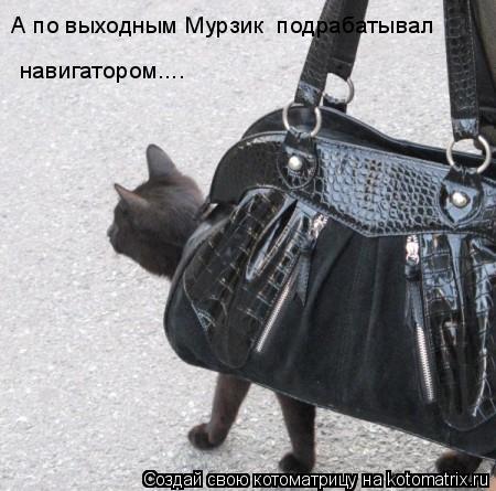 А по выходным Мурзик подрабатывал навигатором....... Котоматрица: А по выходным Мурзик подрабатывал навигатором....