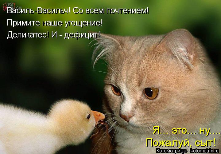 Василь-Васильч! Со всем почтением! Примите наше угощение! Деликатес! И - дефицит! Я... это... ну.... ... Котоматрица: Василь-Васильч! Со всем почтением! Примите наше угощение! Деликатес! И - дефицит! Я... это... ну.... Пожалуй, сыт!