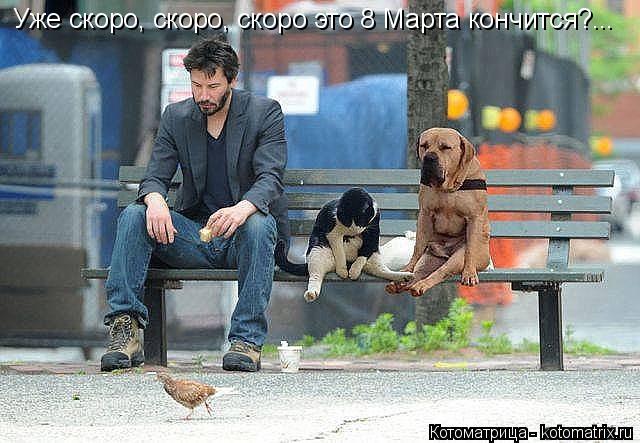 Котоматрица: Уже скоро, скоро, скоро это 8 Марта кончится?...