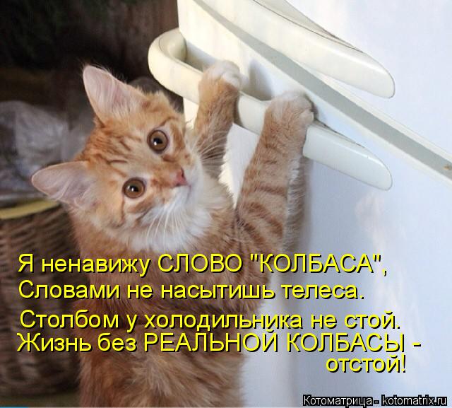 Я ненавижу СЛОВО "КОЛБАСА", Словами не насытишь телеса. Столбом у холодильника не стой. Жизнь без РЕА... Котоматрица: Я ненавижу СЛОВО "КОЛБАСА", Словами не насытишь телеса. Столбом у холодильника не стой. Жизнь без РЕАЛЬНОЙ КОЛБАСЫ - отстой!
