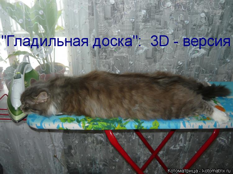 Котоматрица: "Гладильная доска":  3D - версия
