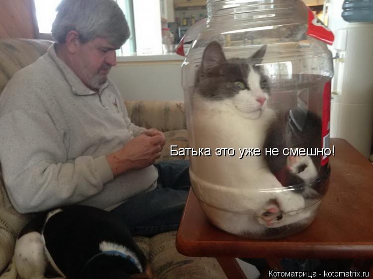 Котоматрица: Батька это уже не смешно!