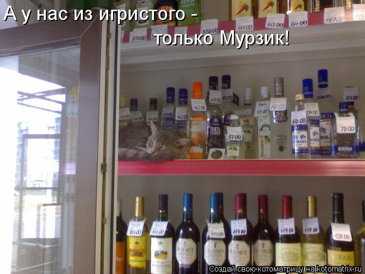 А у нас из игристого - только Мурзик!... Котоматрица: А у нас из игристого - только Мурзик!