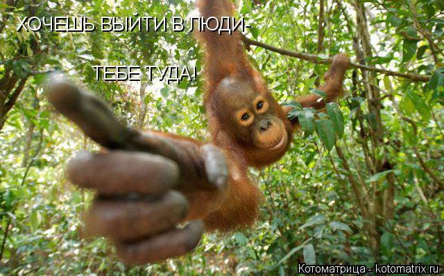 ХОЧЕШЬ ВЫЙТИ В ЛЮДИ- ТЕБЕ ТУДА!... Котоматрица: ХОЧЕШЬ ВЫЙТИ В ЛЮДИ- ТЕБЕ ТУДА!