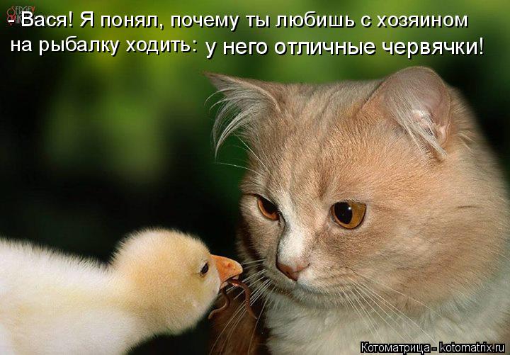 у него отличные червячки! на рыбалку ходить: - Вася! Я понял, почему ты любишь с хозяином... Котоматрица: у него отличные червячки! на рыбалку ходить: - Вася! Я понял, почему ты любишь с хозяином