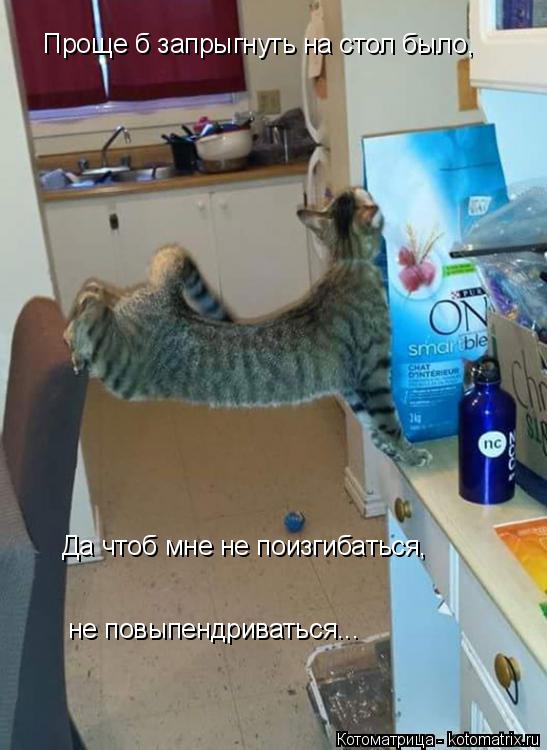 Проще б запрыгнуть на стол было, Да чтоб мне не поизгибаться, не повыпендриваться...... Котоматрица: Проще б запрыгнуть на стол было, Да чтоб мне не поизгибаться, не повыпендриваться...