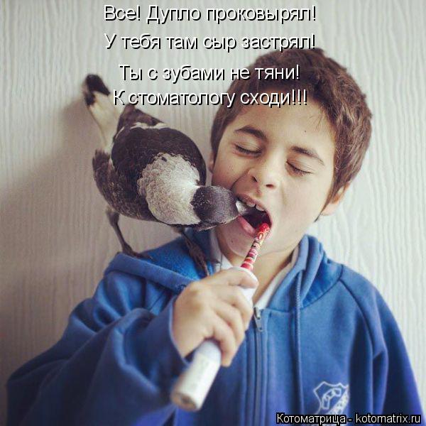 Все! Дупло проковырял! У тебя там сыр застрял! К стоматологу сходи!!! Ты с зубами не тяни!... Котоматрица: Все! Дупло проковырял! У тебя там сыр застрял! К стоматологу сходи!!! Ты с зубами не тяни!
