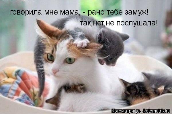 говорила мне мама, - рано тебе замуж! так,нет,не послушала!... Котоматрица: говорила мне мама, - рано тебе замуж! так,нет,не послушала!