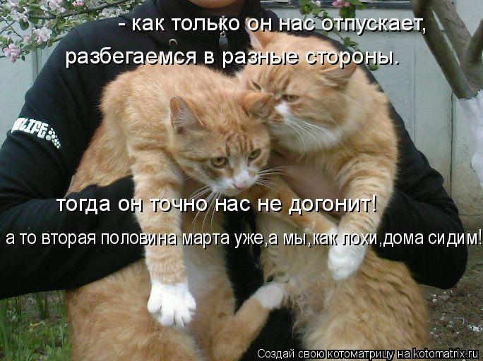 - как только он нас отпускает, разбегаемся в разные стороны. а то вторая половина марта уже,а мы,как ... Котоматрица: - как только он нас отпускает, разбегаемся в разные стороны. а то вторая половина марта уже,а мы,как лохи,дома сидим! тогда он точно нас не дог