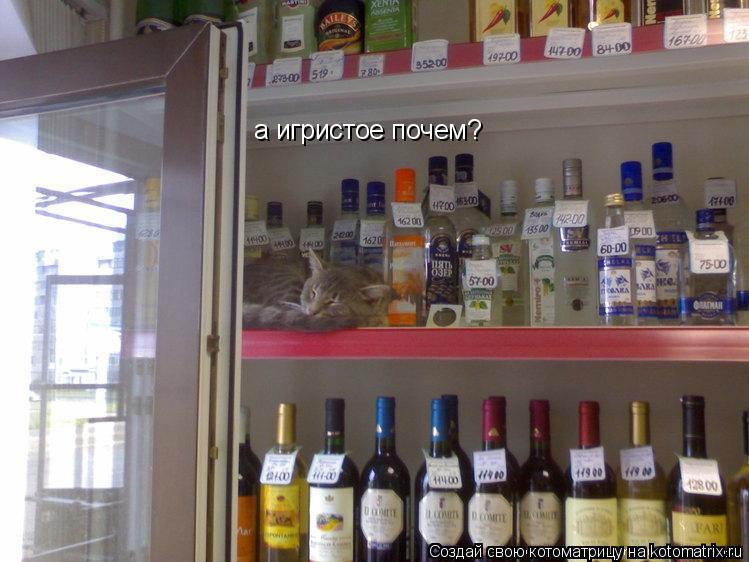а игристое почем?... Котоматрица: а игристое почем?