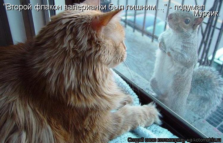 "Второй флакон валерианки был лишним...." - подумал Мурзик.... Котоматрица: "Второй флакон валерианки был лишним...." - подумал Мурзик.