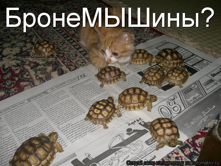 БронеМЫШины?... Котоматрица: БронеМЫШины?
