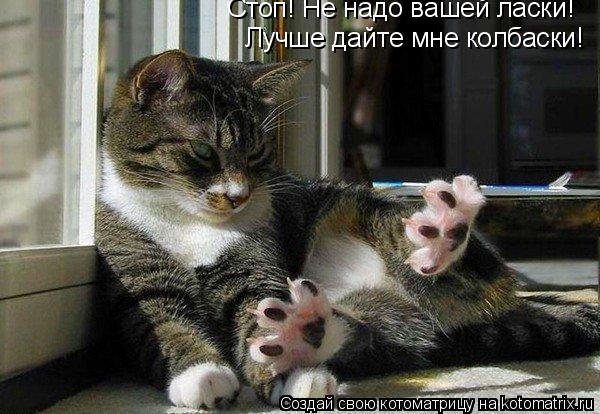 Стоп! Не надо вашей ласки! Лучше дайте мне колбаски!... Котоматрица: Стоп! Не надо вашей ласки! Лучше дайте мне колбаски!