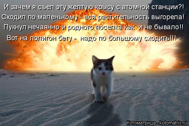 И зачем я съел эту желтую крысу с атомной станции?! Сходил по маленькому - вся растительность выгорел... Котоматрица: И зачем я съел эту желтую крысу с атомной станции?! Сходил по маленькому - вся растительность выгорела! Пукнул нечаянно и родного поселка ка