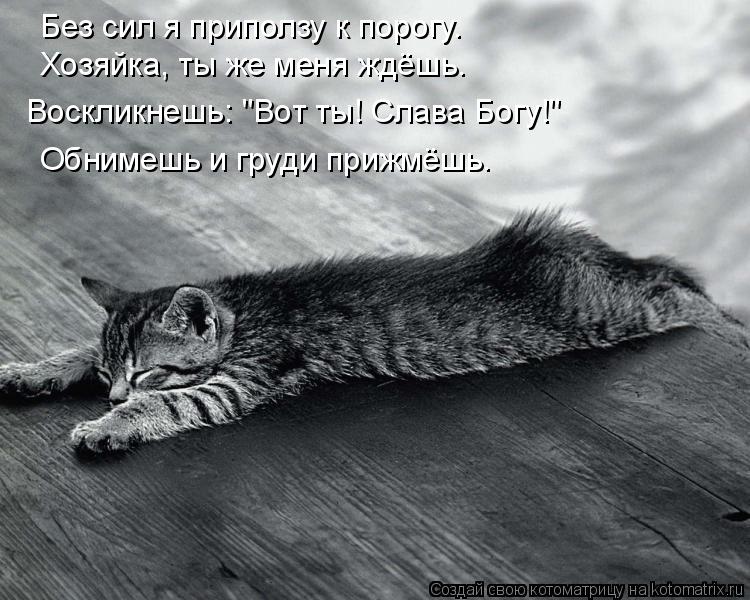 Без сил я приползу к порогу. Хозяйка, ты же меня ждёшь. Воскликнешь: "Вот ты! Слава Богу!" Обнимешь и... Котоматрица: Без сил я приползу к порогу. Хозяйка, ты же меня ждёшь. Воскликнешь: "Вот ты! Слава Богу!" Обнимешь и груди прижмёшь.