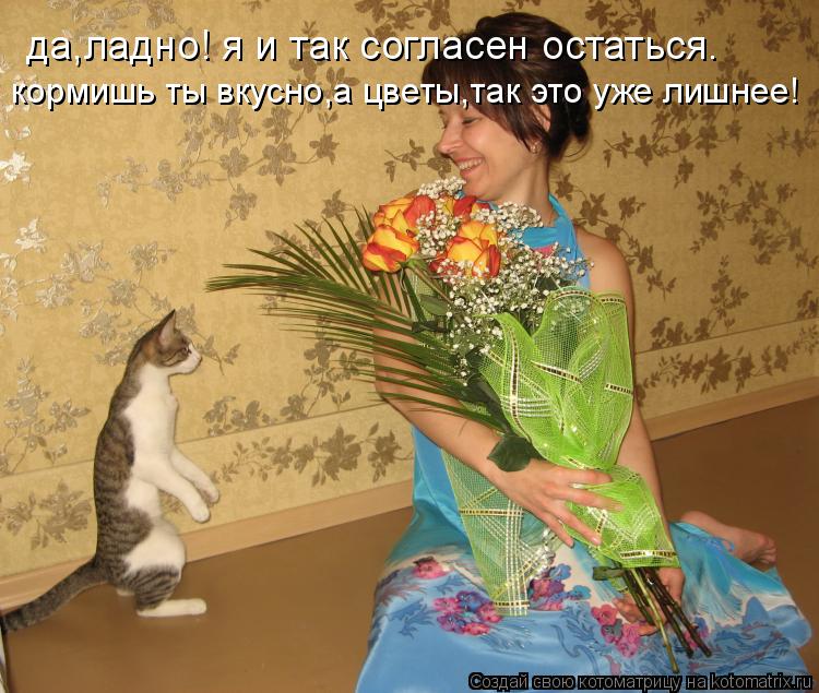 да,ладно! я и так согласен остаться. кормишь ты вкусно,а цветы,так это уже лишнее!... Котоматрица: да,ладно! я и так согласен остаться. кормишь ты вкусно,а цветы,так это уже лишнее!