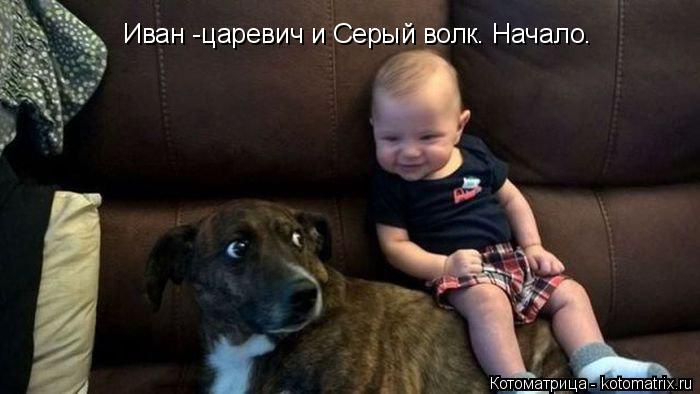 Иван -царевич и Серый волк. Начало.... Котоматрица: Иван -царевич и Серый волк. Начало.