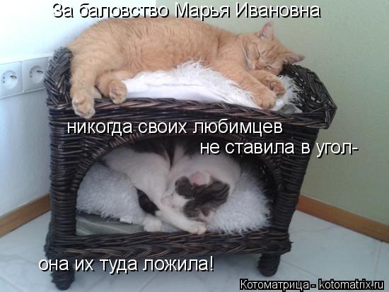 За баловство Марья Ивановна никогда своих любимцев не ставила в угол- она их туда ложила!... Котоматрица: За баловство Марья Ивановна никогда своих любимцев не ставила в угол- она их туда ложила!