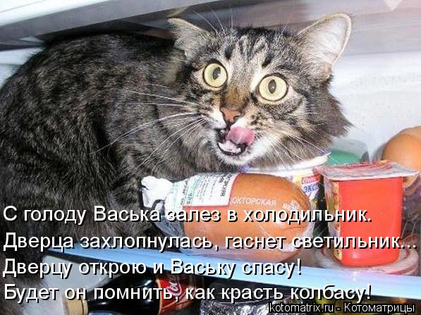 Котоматрица: Будет он помнить, как красть колбасу! Дверцу открою и Ваську спасу! Дверца захлопнулась, гаснет светильник... С голоду Васька залез в холодил