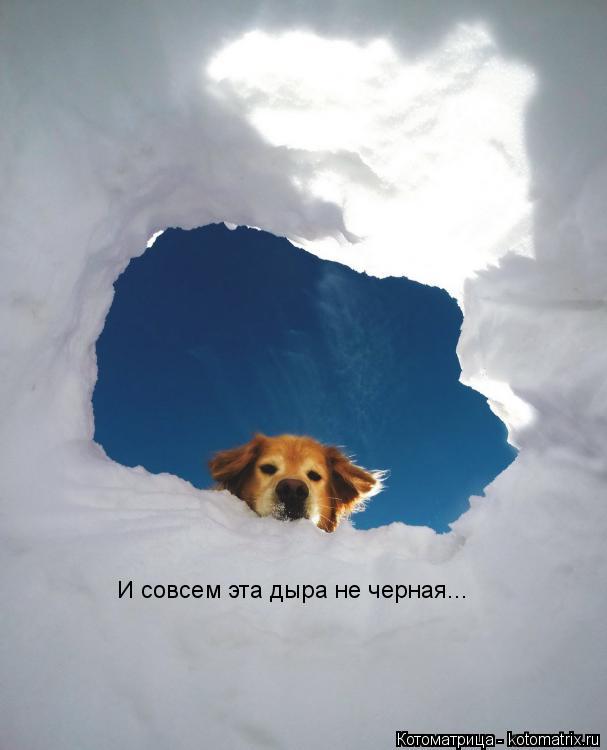 И совсем эта дыра не черная...... Котоматрица: И совсем эта дыра не черная...