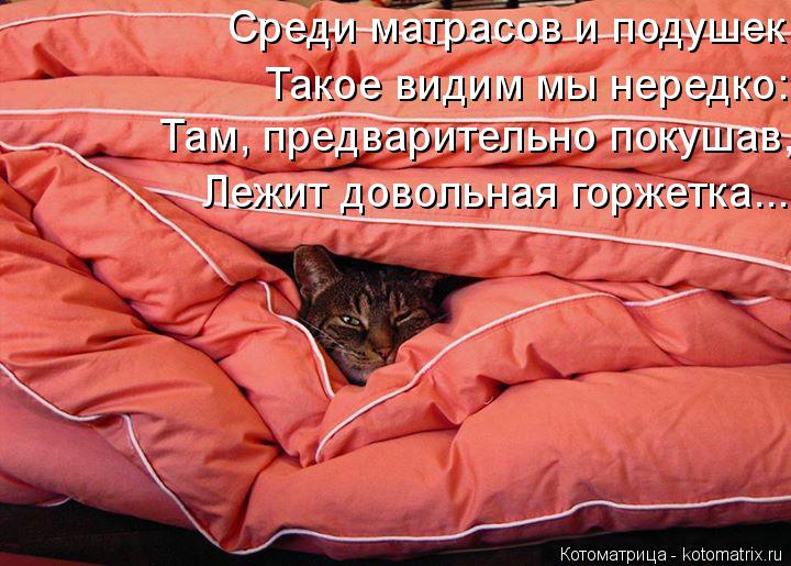 Среди матрасов и подушек Такое видим мы нередко: Там, предварительно покушав, Лежит довольная горжетк... Котоматрица: Среди матрасов и подушек Такое видим мы нередко: Там, предварительно покушав, Лежит довольная горжетка...