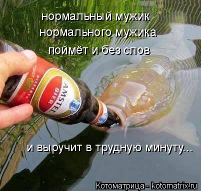 Котоматрица: нормальный мужик   нормального мужика   поймёт и без слов и выручит в трудную минуту...
