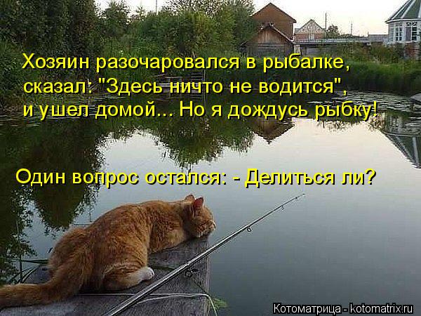 Котоматрица: Хозяин разочаровался в рыбалке, сказал: "Здесь ничто не водится",  и ушел домой... Но я дождусь рыбку! Один вопрос остался: - Делиться ли?