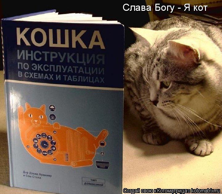Котоматрица: Слава Богу - Я кот