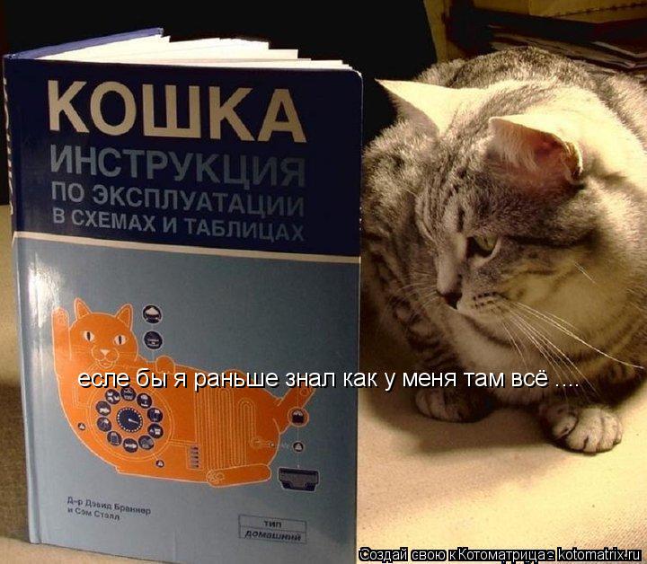 есле бы я раньше знал как у меня там всё ....... Котоматрица: есле бы я раньше знал как у меня там всё ....