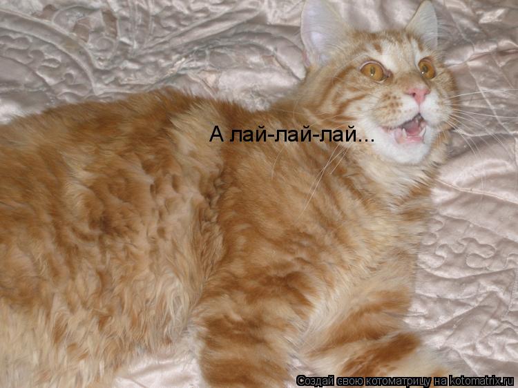 А лай-лай-лай...... Котоматрица: А лай-лай-лай...