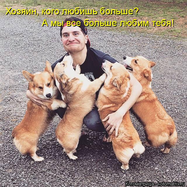 Котоматрица: Хозяин, кого любишь больше? А мы все больше любим тебя!