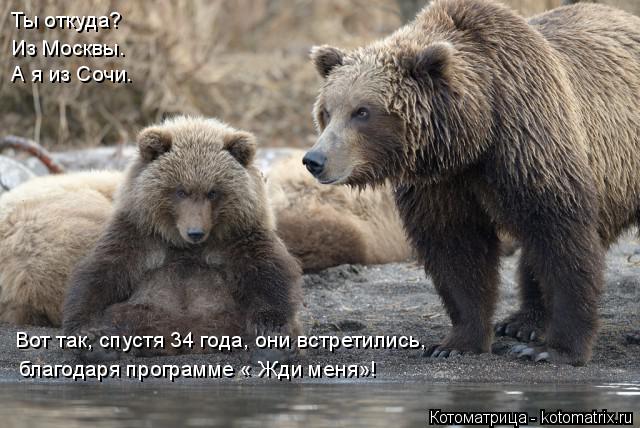 Ты откуда? Из Москвы. А я из Сочи. благодаря программе « Жди меня»! Вот так, спустя 34 года, они встр... Котоматрица: Ты откуда? Из Москвы. А я из Сочи. благодаря программе « Жди меня»! Вот так, спустя 34 года, они встретились,