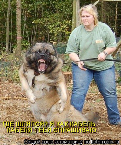 ГДЕ ШЛЯЛСЯ? Я КАК КАБЕЛЬ КАБЕЛЯ ТЕБЯ СПРАШИВАЮ.... Котоматрица: ГДЕ ШЛЯЛСЯ? Я КАК КАБЕЛЬ КАБЕЛЯ ТЕБЯ СПРАШИВАЮ.