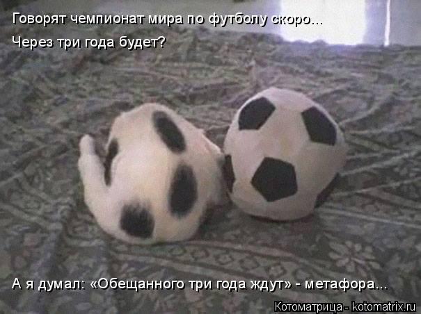 А я думал: «Обещанного три года ждут» - метафора... Говорят чемпионат мира по футболу скоро... Через ... Котоматрица: А я думал: «Обещанного три года ждут» - метафора... Говорят чемпионат мира по футболу скоро... Через три года будет?