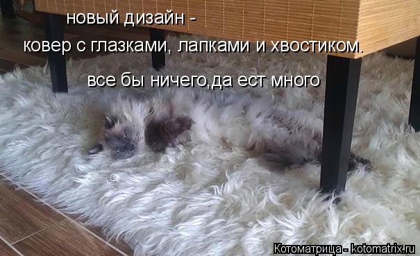 ковер с глазками, лапками и хвостиком. новый дизайн - все бы ничего,да ест много... Котоматрица: ковер с глазками, лапками и хвостиком. новый дизайн - все бы ничего,да ест много