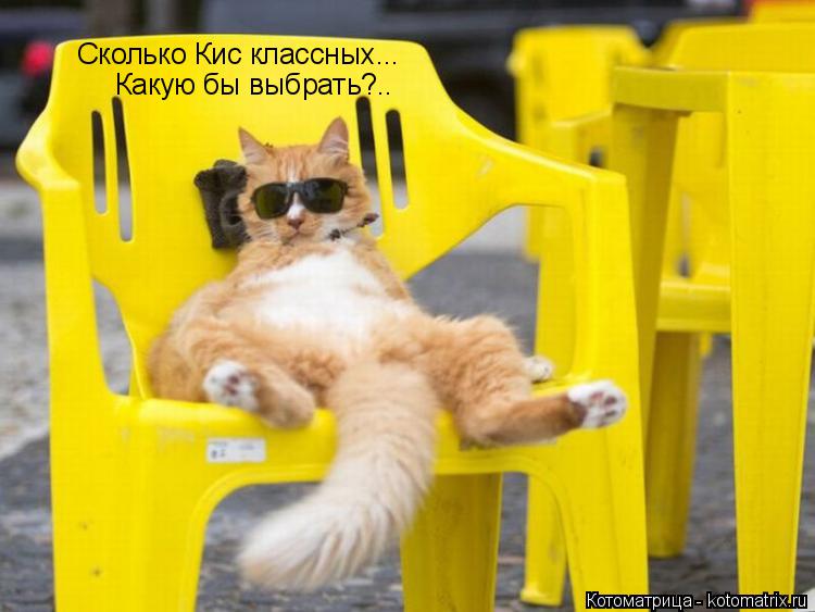 Сколько Кис классных... Какую бы выбрать?..... Котоматрица: Сколько Кис классных... Какую бы выбрать?..