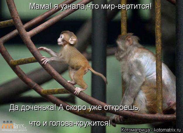 Мама! я узнала,что мир-вертится! Да,доченька! А скоро уже откроешь, что и голова-кружится!... Котоматрица: Мама! я узнала,что мир-вертится! Да,доченька! А скоро уже откроешь, что и голова-кружится!